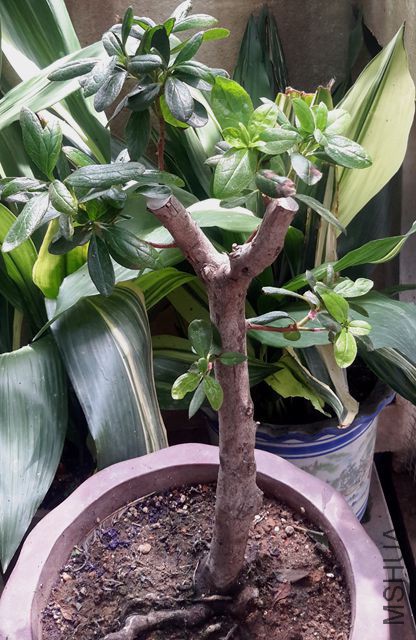 20170713_105250.jpg