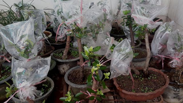 20170713_105320.jpg