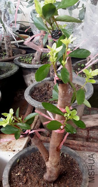 20170713_105310.jpg