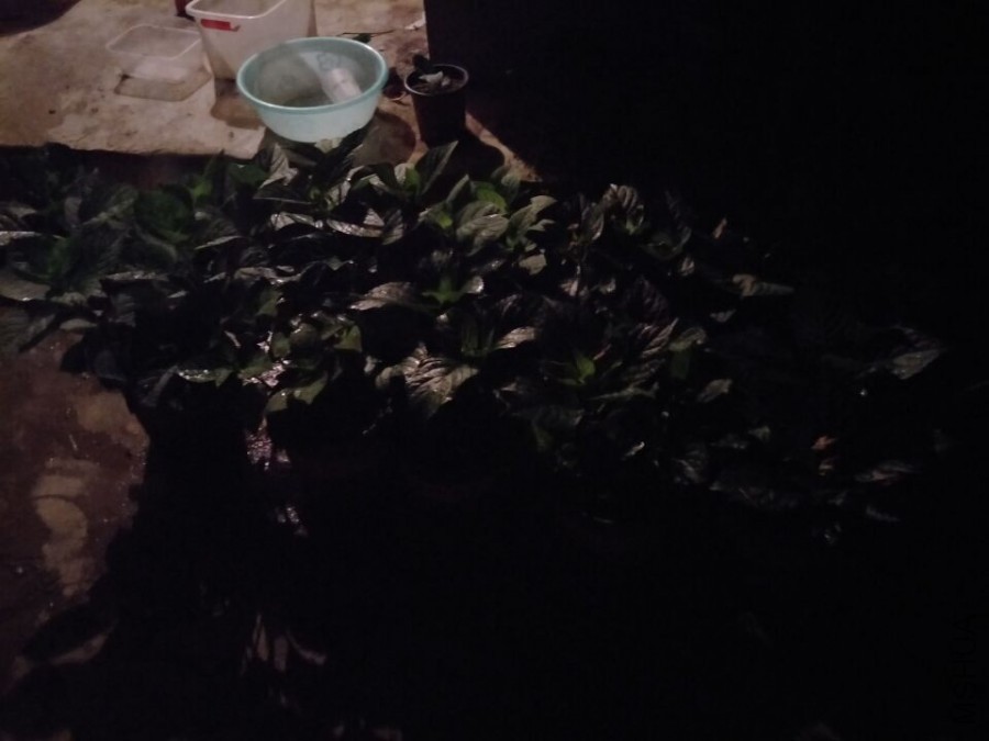 QQͼƬ20170715095236.jpg