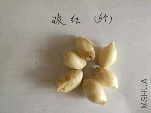 F136A122431197DAE6ADD22E9740B58B.jpg