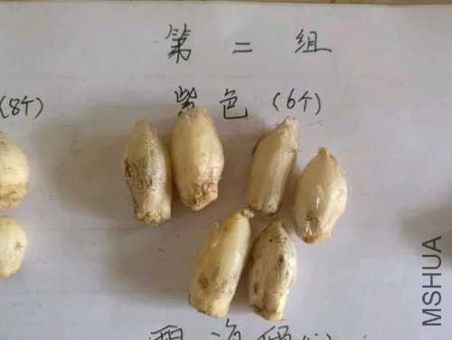 5C8AD534DAFFAD09DC60211ACE177B29.jpg