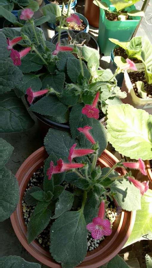 ΢��ͼƬ_20170716124042.jpg