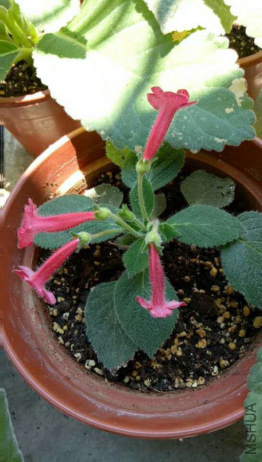 ΢��ͼƬ_20170716124048.jpg