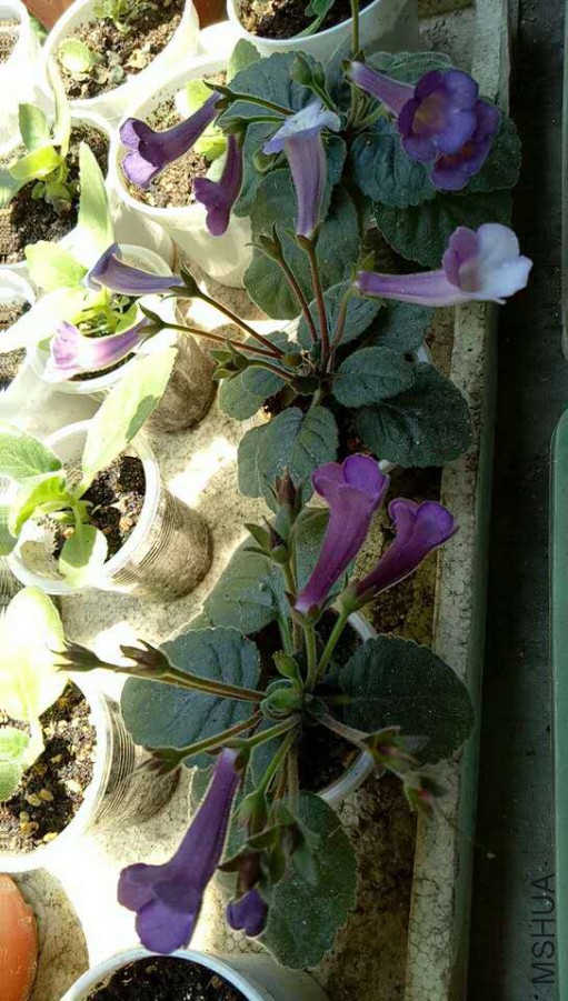 ΢��ͼƬ_20170716124055.jpg
