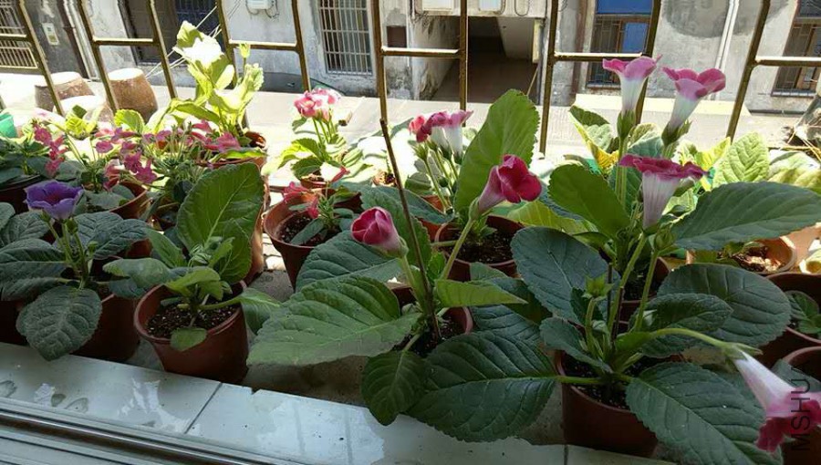 ΢��ͼƬ_20170716124101.jpg