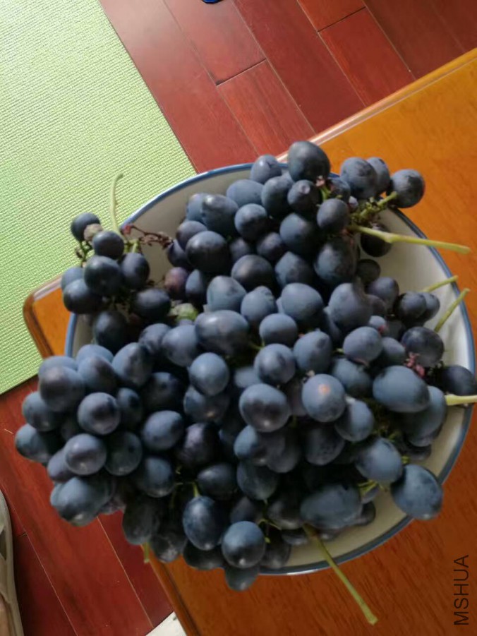 QQͼƬ20170720142353.jpg