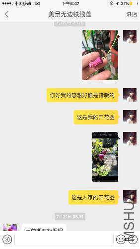 IMG_2272.PNG