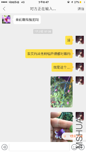 IMG_2273.PNG