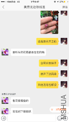 IMG_2278.PNG