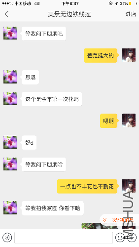 IMG_2279.PNG