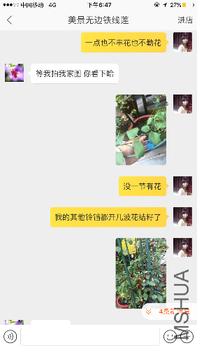 IMG_2280.PNG