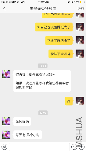 IMG_2294.PNG
