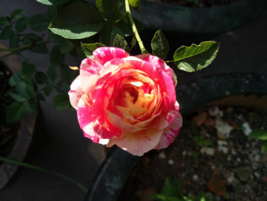 P70725-2.jpg