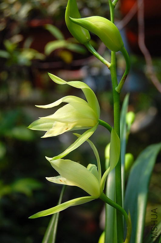 DSC_80710062.JPG