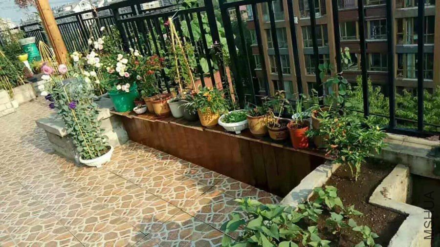 ΢��ͼƬ_20170727112826.jpg