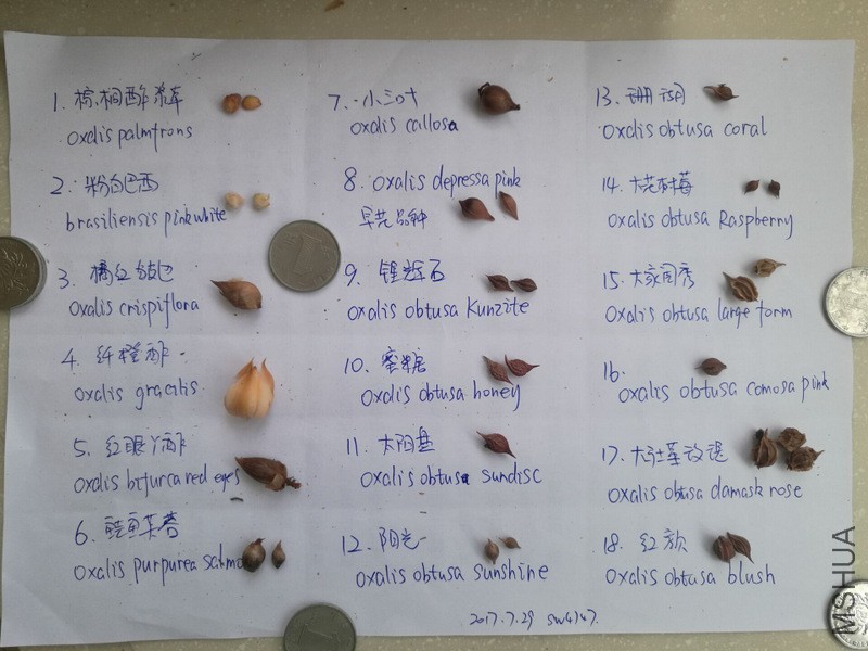 1-QQͼƬ20170729151124.jpg
