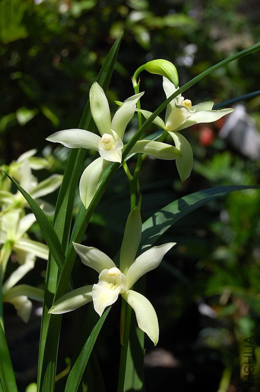 DSC_87330175.JPG