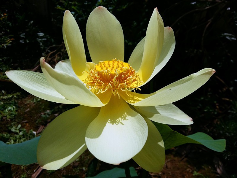 20170625_105753_����.jpg