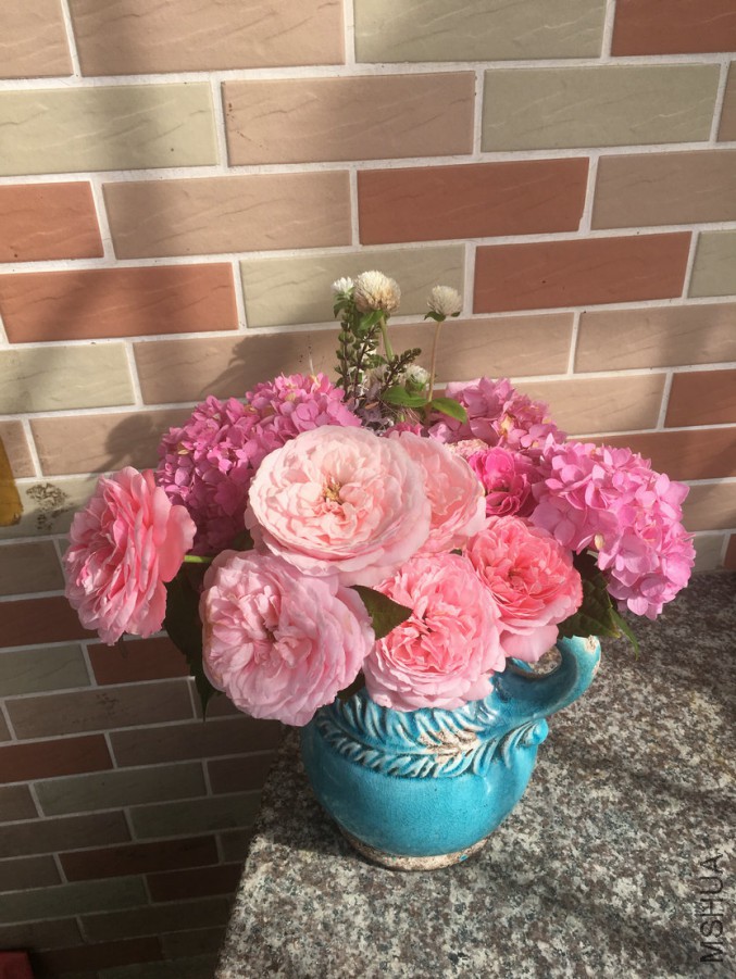 2�俭��4��Ư������