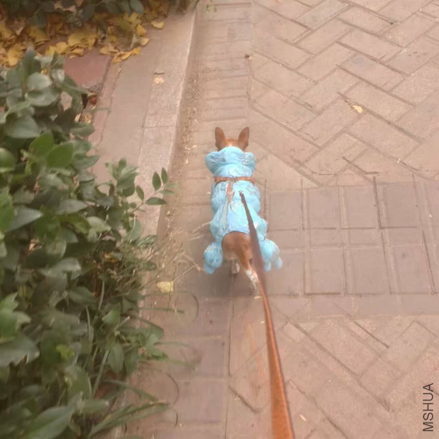 webwxgetmsgimg (1).jpg