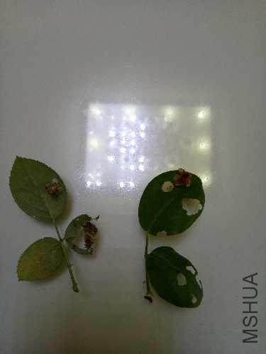 IMG20170808175055.jpg