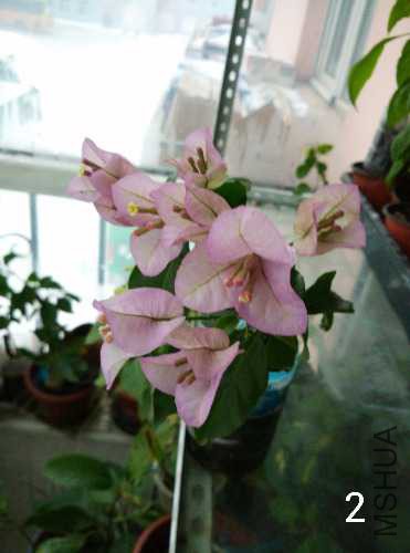 IMG_20160107_215331.jpg