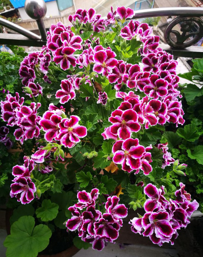 20170815090734.jpg