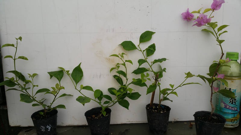 20170815_095004.jpg