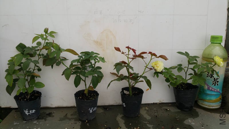 20170815_102317.jpg