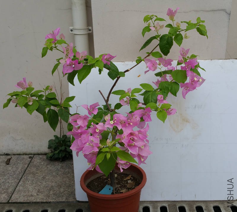 20170815_111829.jpg