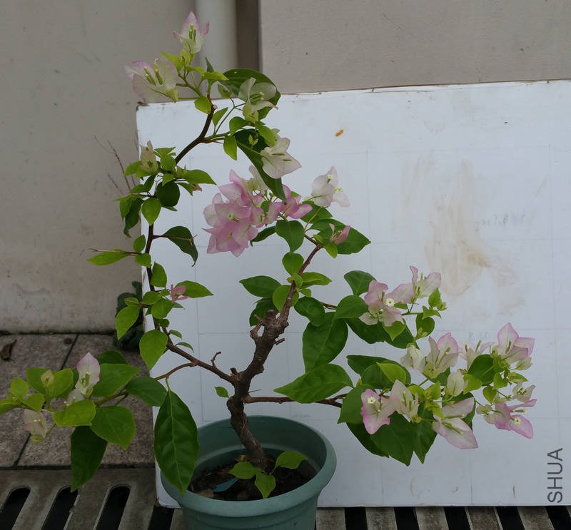 20170815_111936.jpg