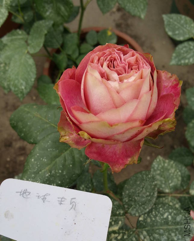 20170519_144517.jpg