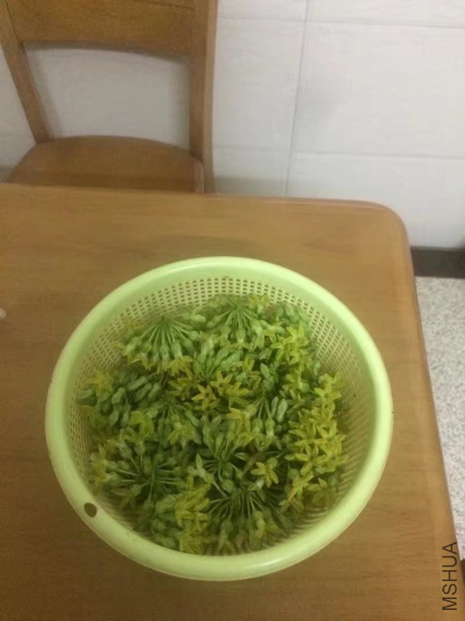 ҹ����.jpg