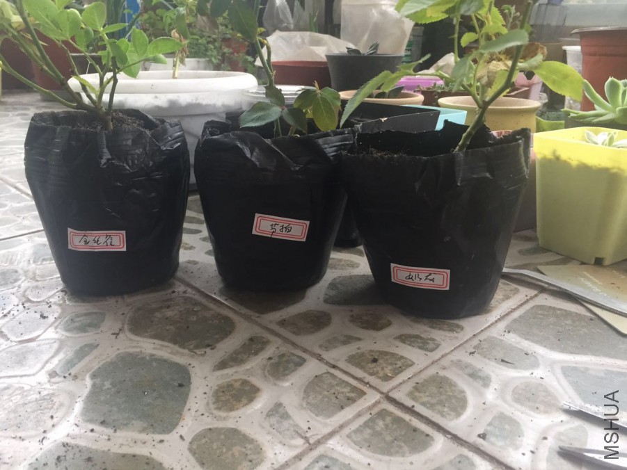 ΢��ͼƬ_20170817193523.jpg
