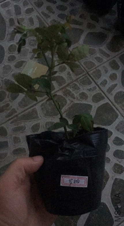 ΢��ͼƬ_20170817193531.jpg