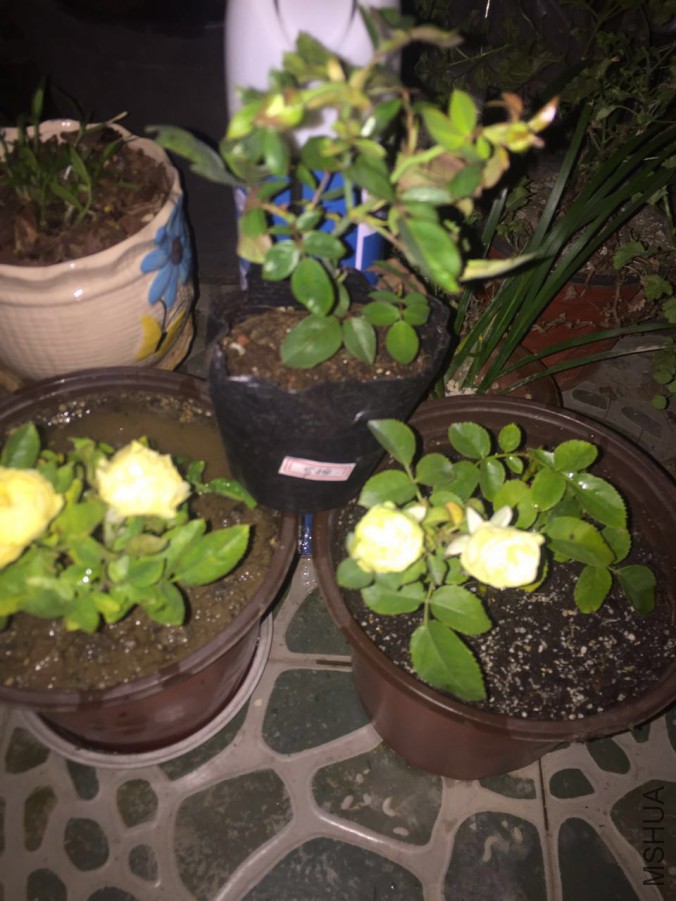 ΢��ͼƬ_20170817195134.jpg