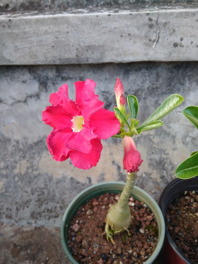 QQͼƬ20170818120659.jpg