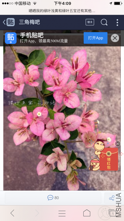 IMG_1354.PNG