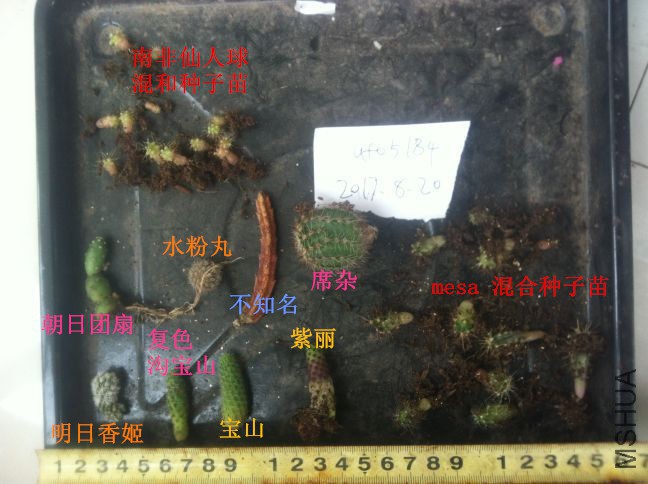 QQͼƬ20170820110434.jpg