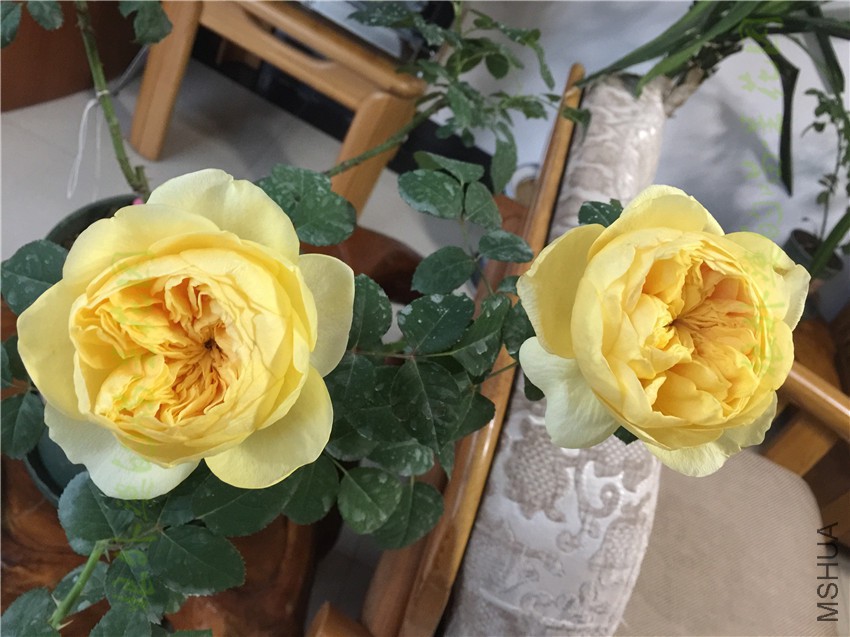 IMG_8877.JPG