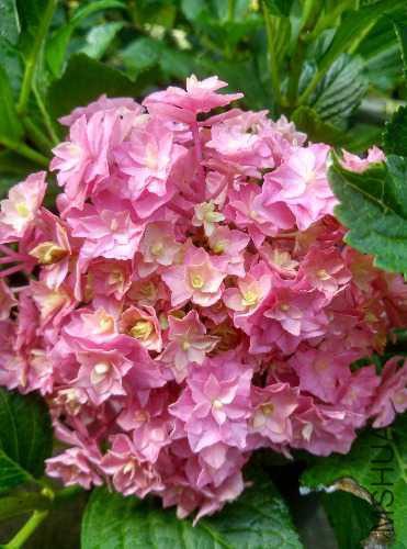 IMG_20170509_081803_HDR.jpg