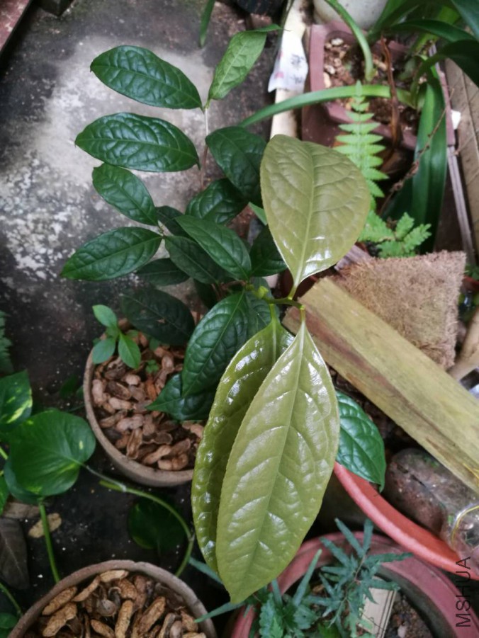 ΢��ͼƬ_20170823151335.jpg