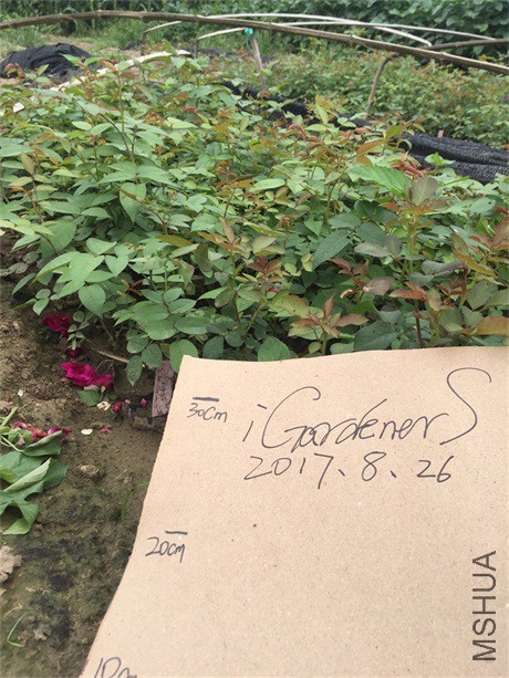 ��Ƭ 018.jpg