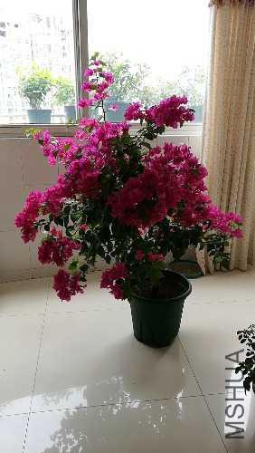wx_camera_1503719661121.jpg