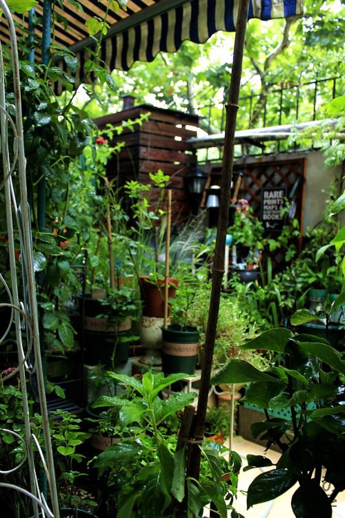 2017.8.23 007_����_����.jpg