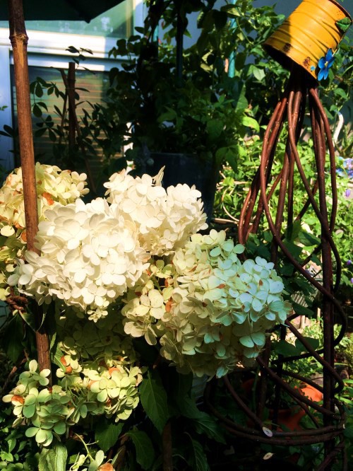 ���Բ׶ ������ ����ѹ��