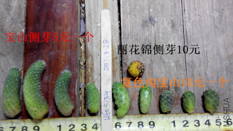 QQͼƬ20170828093845.jpg