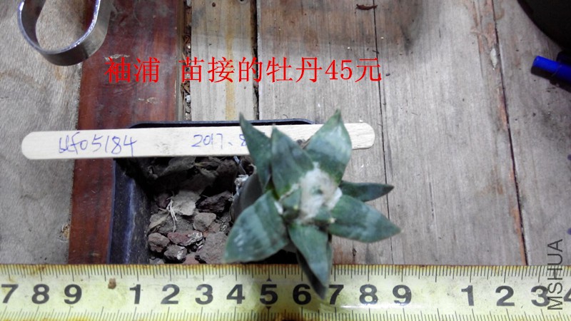 QQͼƬ20170828093849.jpg