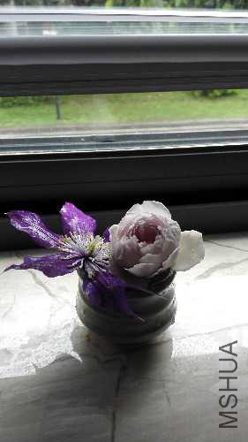 IMG_20170831_094623.jpg